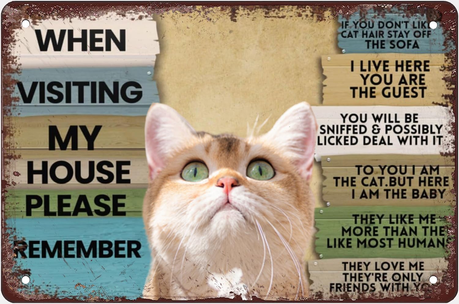 Bathroom Home Visit - Kucing Saat Mengunjungi Rumahku Harap Ingat