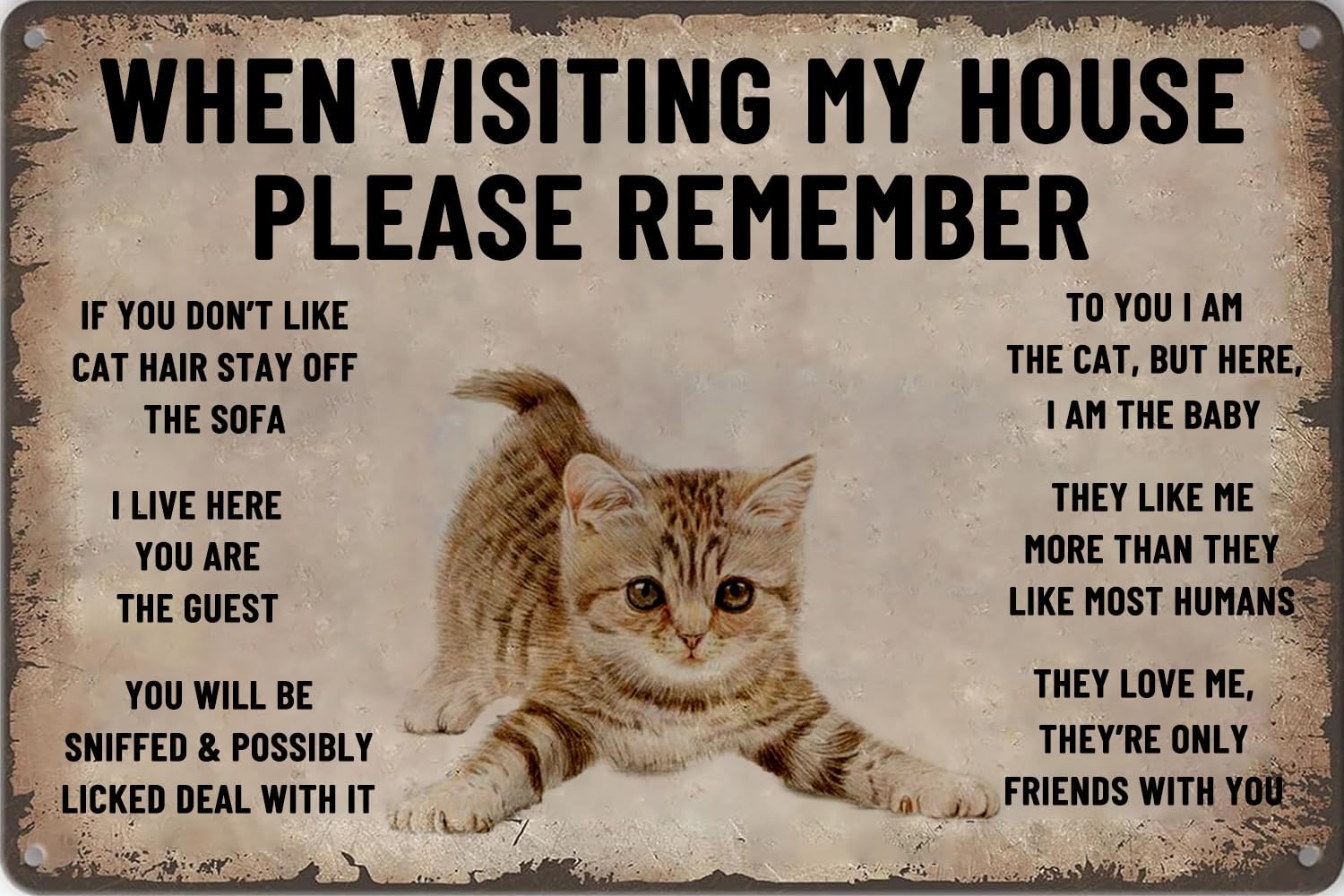 Bathroom Home Visit - Seni Dinding Kucing Saat Mengunjungi Rumah