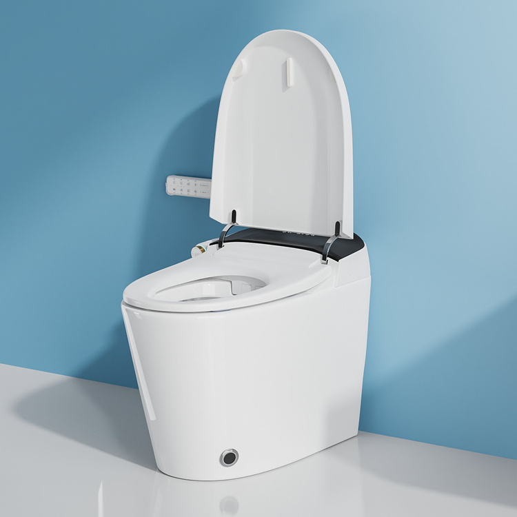 Dekorasi Rumah Kamar Mandi Klo - Home For Bathroom ulasan dan harga